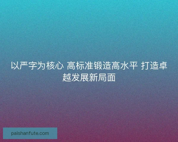 以严字为核心 高标准锻造高水平 打造卓越发展新局面
