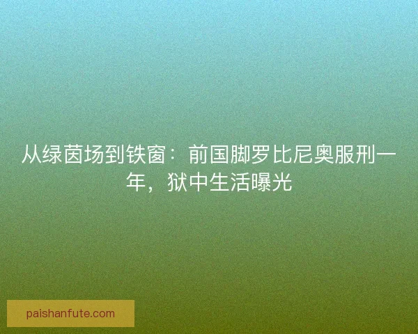从绿茵场到铁窗：前国脚罗比尼奥服刑一年，狱中生活曝光