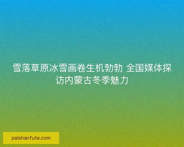 雪落草原冰雪画卷生机勃勃 全国媒体探访内蒙古冬季魅力 雪落草原冰雪画卷生机勃勃 全国媒体探访内蒙古冬季魅力